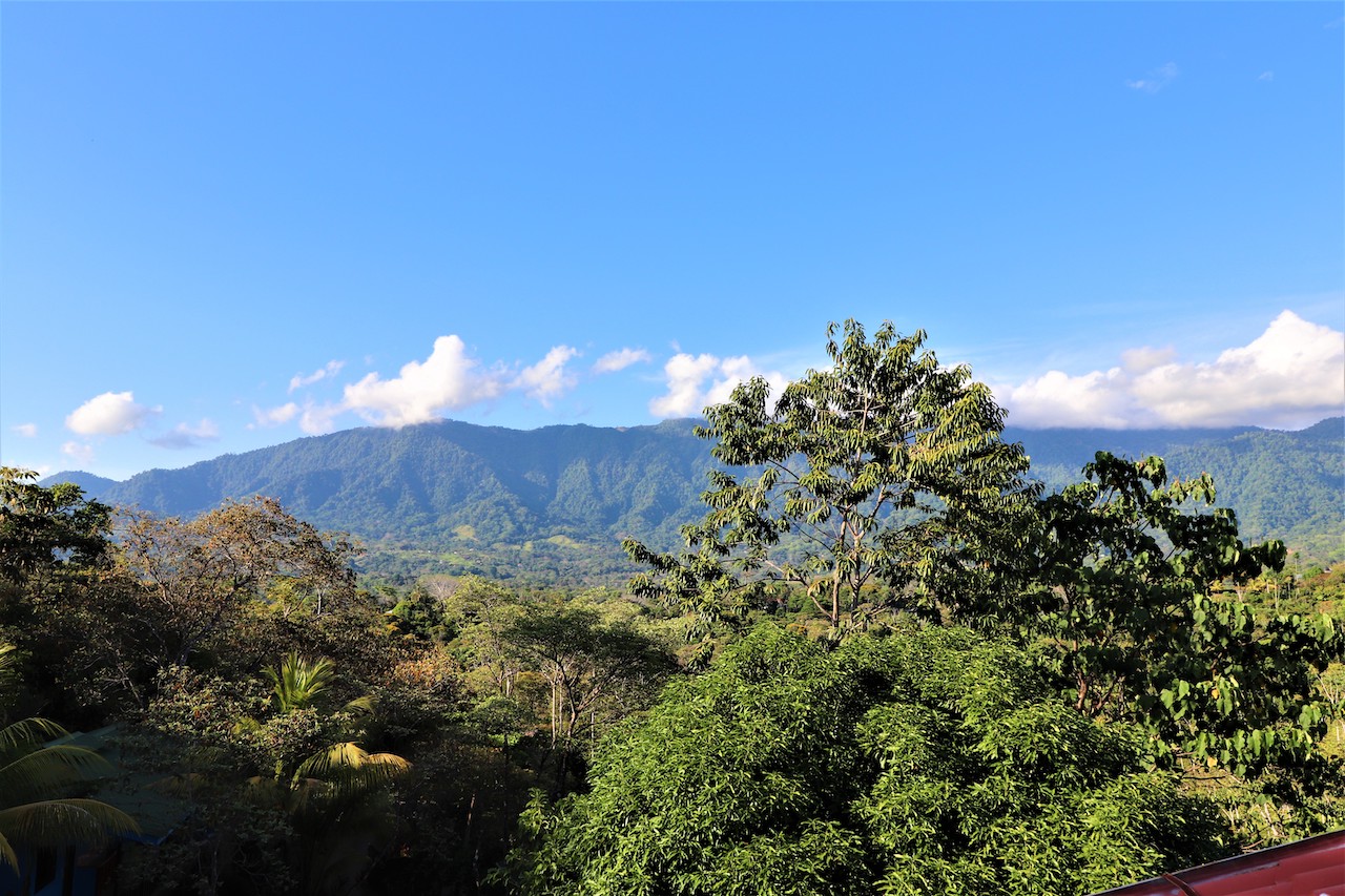 11 bed Hotel / Leisure For Sale in Ojochal, Puntarenas - thumb 20