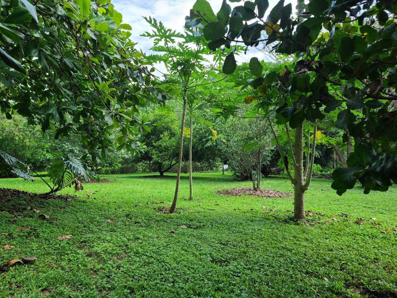 2 bed Single Family Homes For Sale in Naranjo, Alajuela - thumb 20