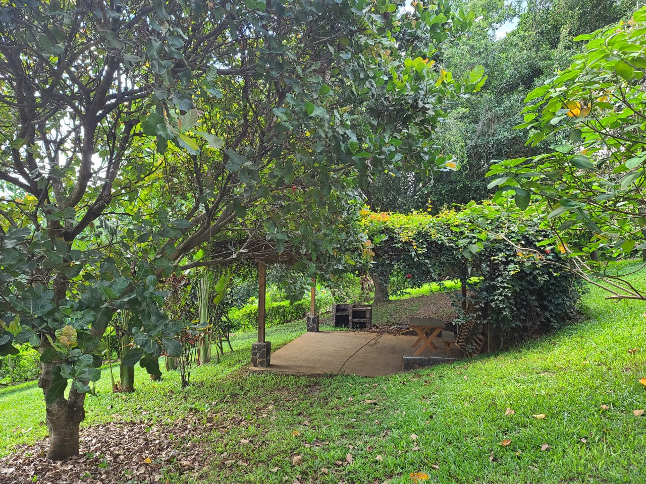 2 bed Single Family Homes For Sale in Naranjo, Alajuela - thumb 18