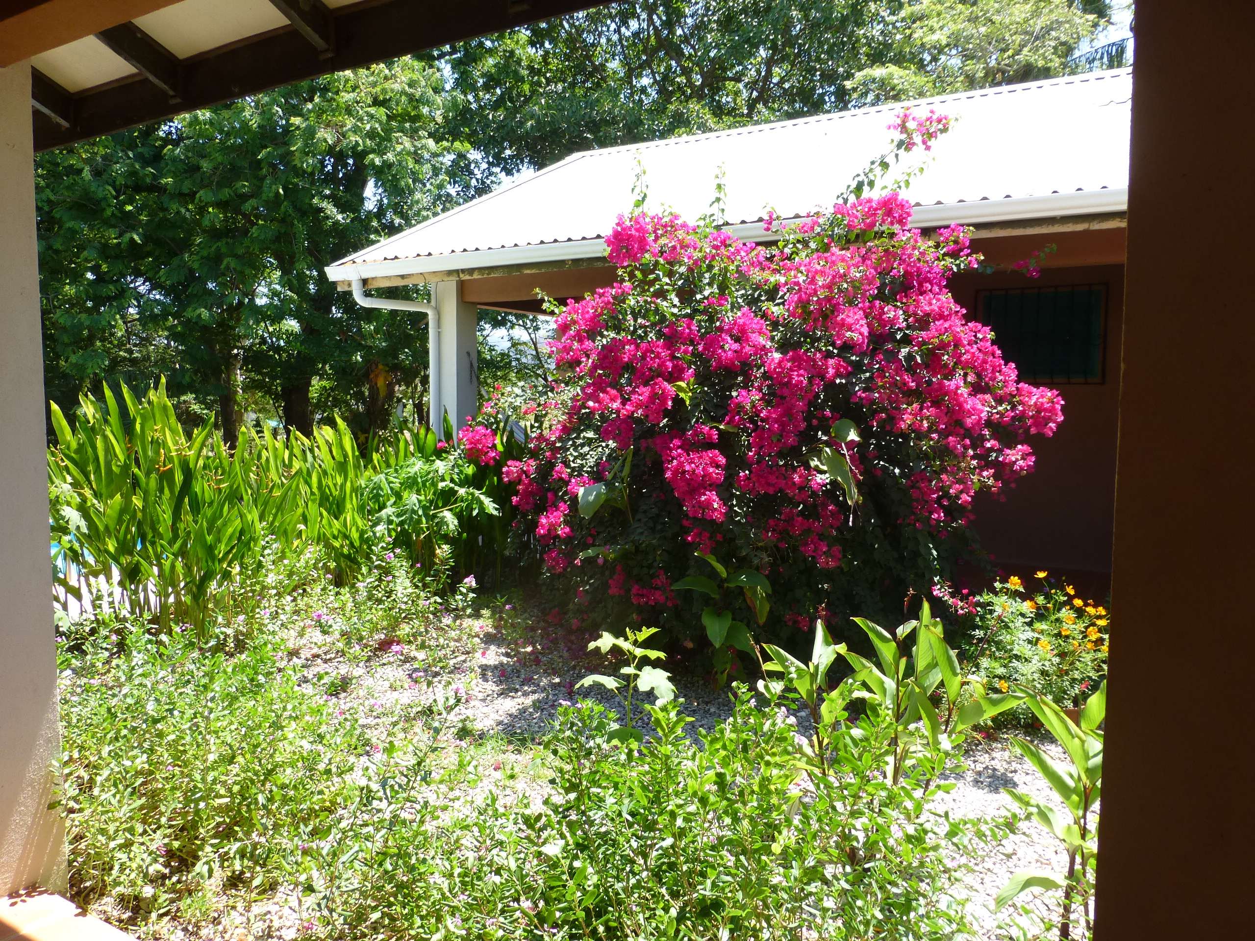 4 bed Single Family Homes For Sale in Samara, Guanacaste - thumb 12