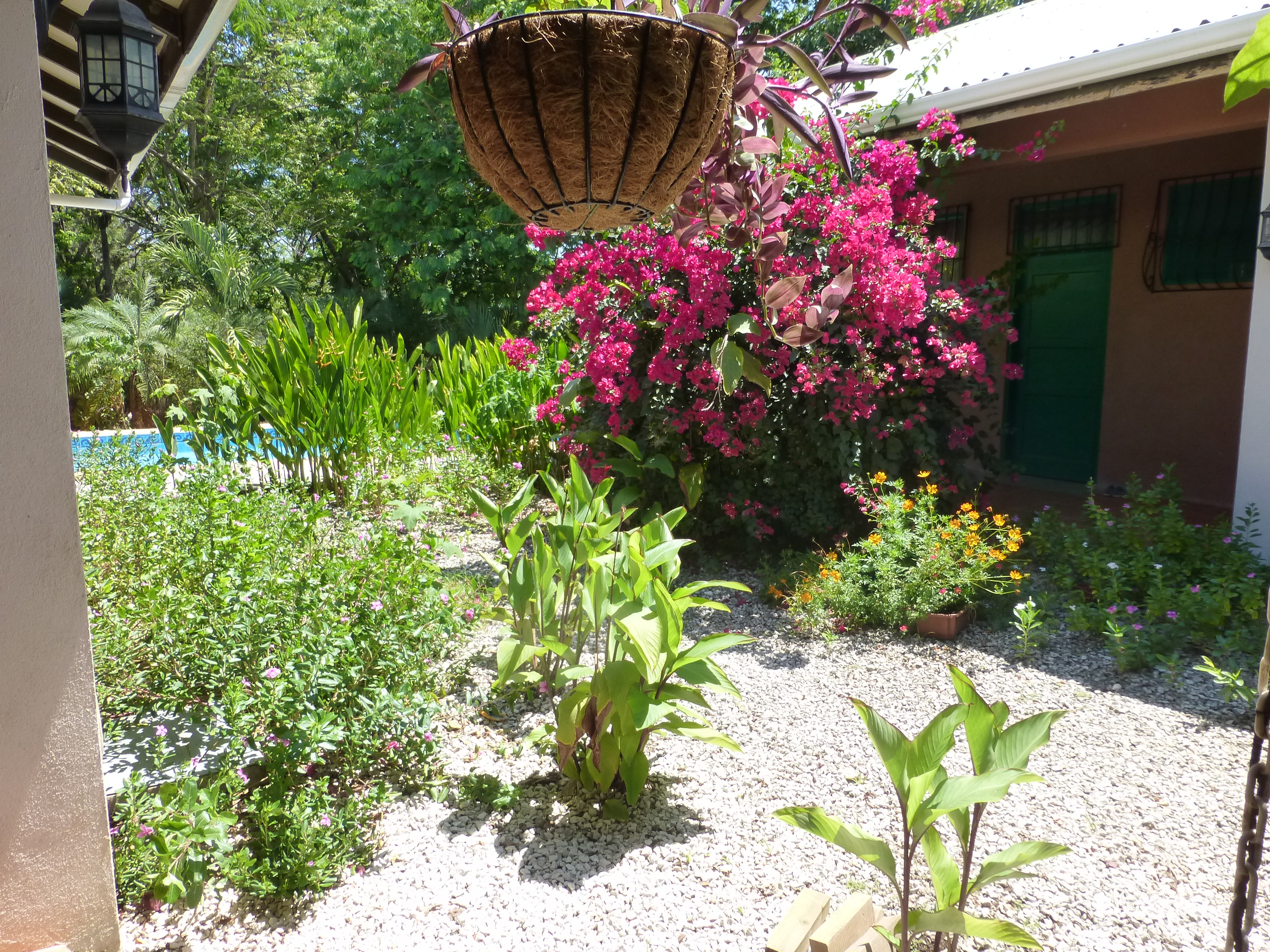 4 bed Single Family Homes For Sale in Samara, Guanacaste - thumb 11