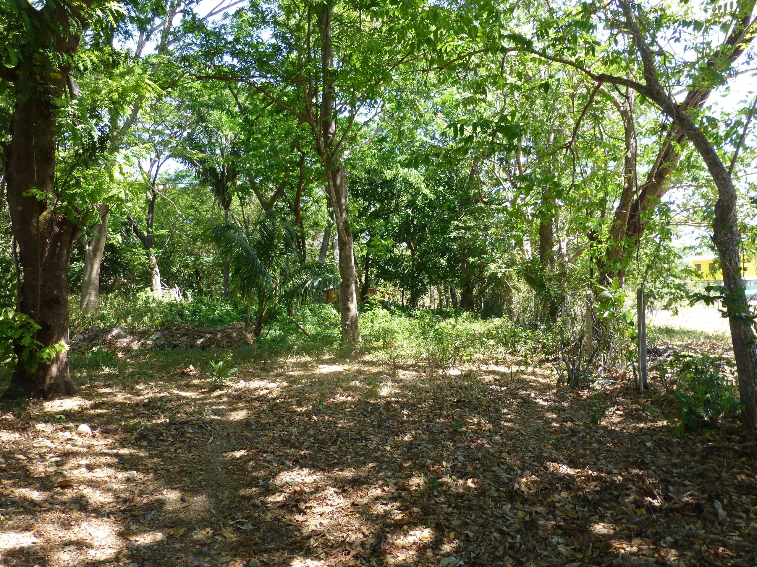 4 bed Single Family Homes For Sale in Samara, Guanacaste - thumb 15