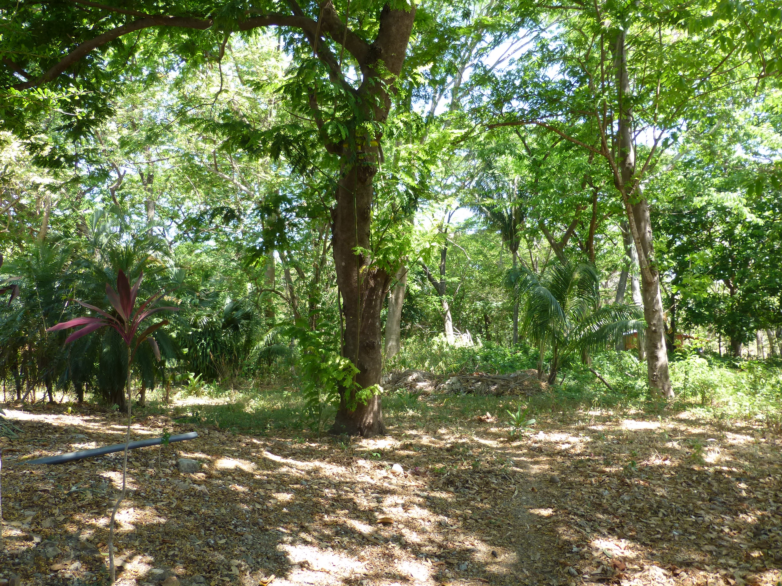 4 bed Single Family Homes For Sale in Samara, Guanacaste - thumb 14