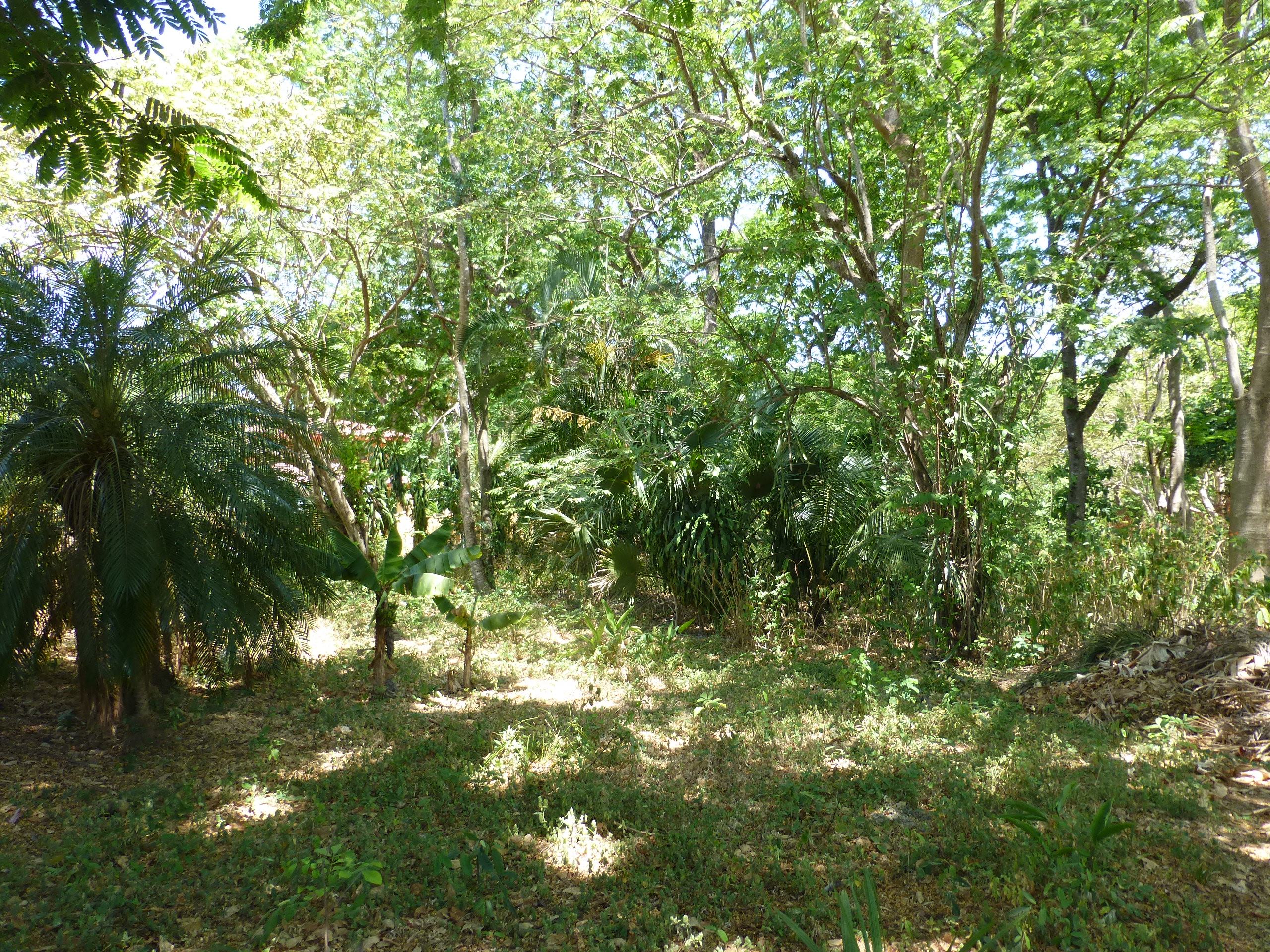 4 bed Single Family Homes For Sale in Samara, Guanacaste - thumb 16