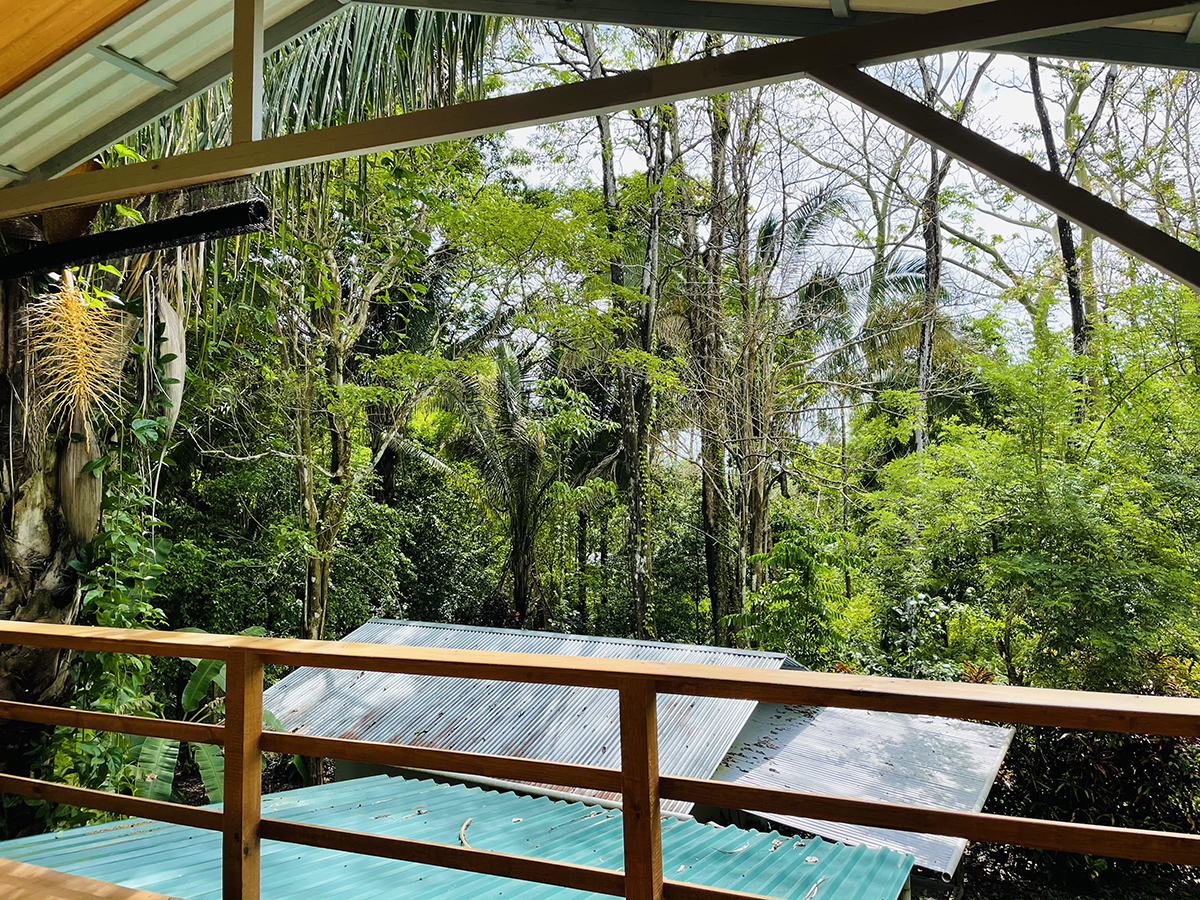 3 bed Single Family Homes For Sale in Pavones, Puntarenas - thumb 5