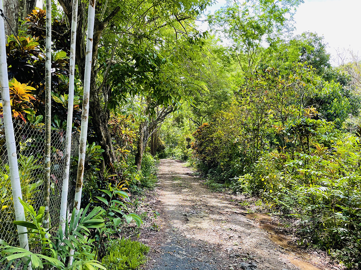 3 bed Single Family Homes For Sale in Pavones, Puntarenas - thumb 25