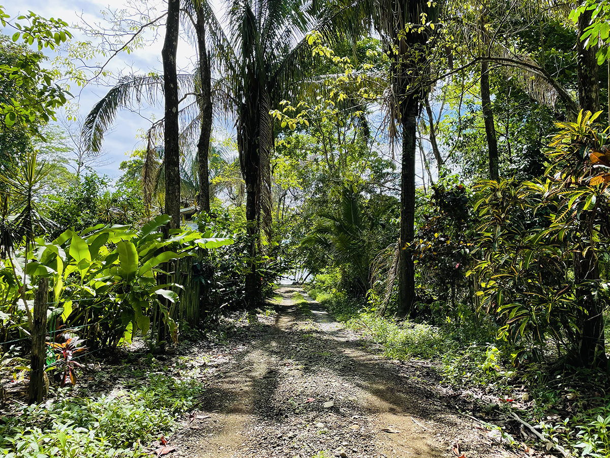 3 bed Single Family Homes For Sale in Pavones, Puntarenas - thumb 6