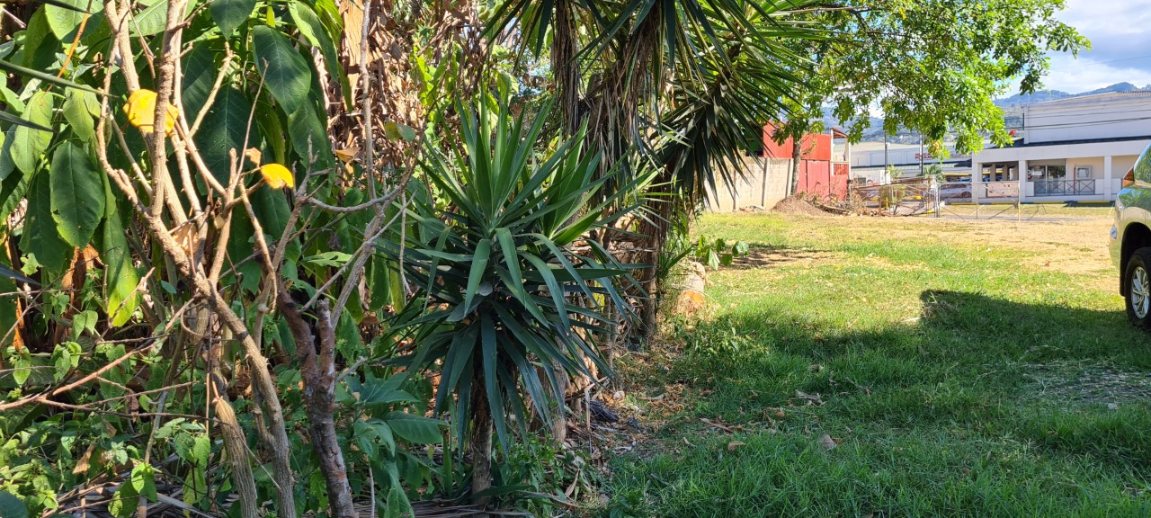 0 bed Land For Sale in Desamparados, San Jose - thumb 6