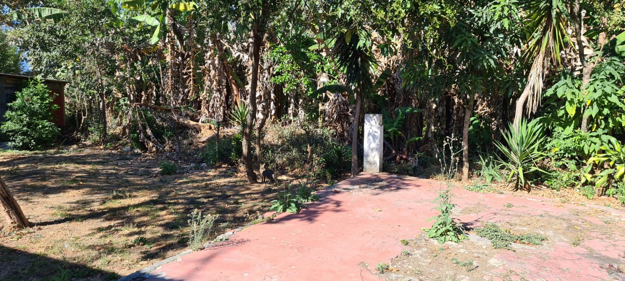 0 bed Land For Sale in Desamparados, San Jose - thumb 7