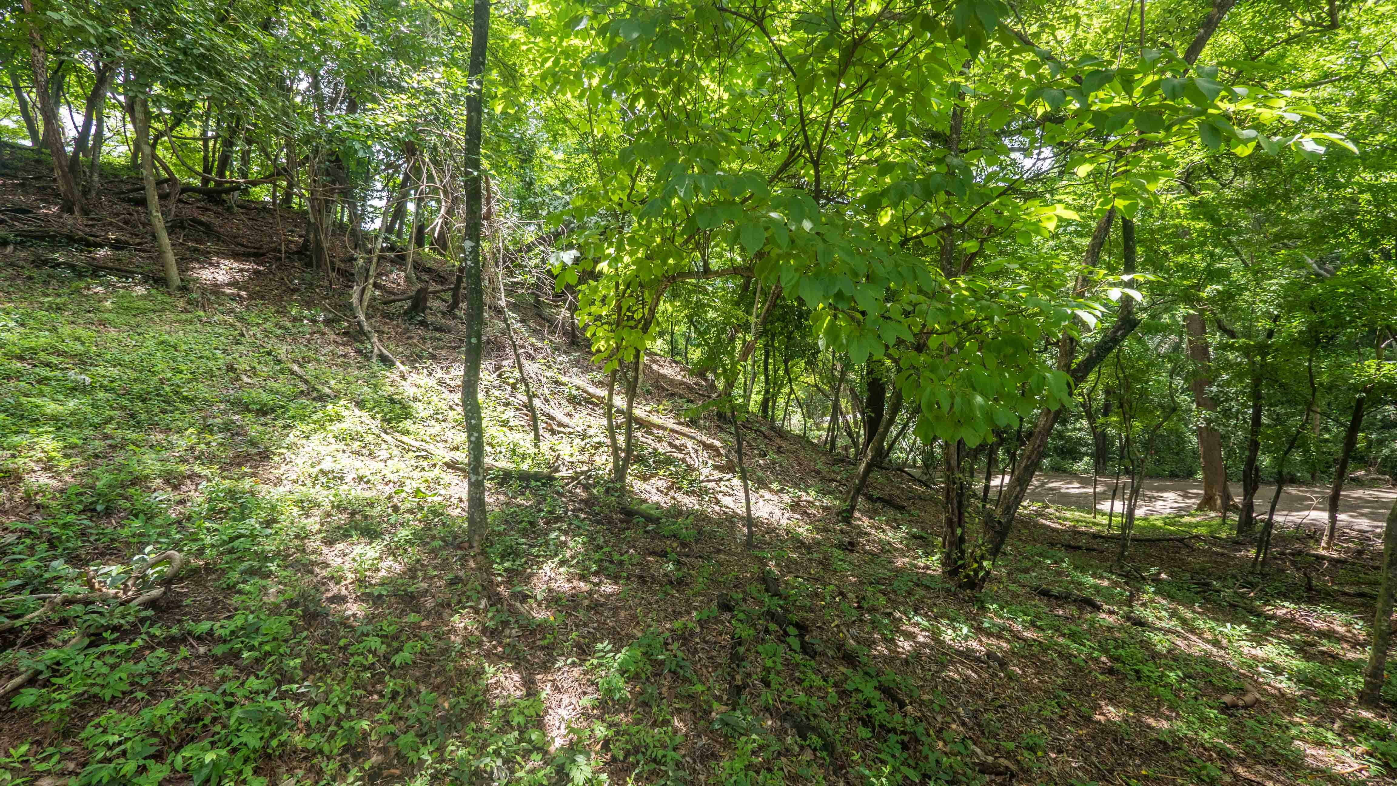 0 bed Land For Sale in Nosara, Guanacaste - thumb 3