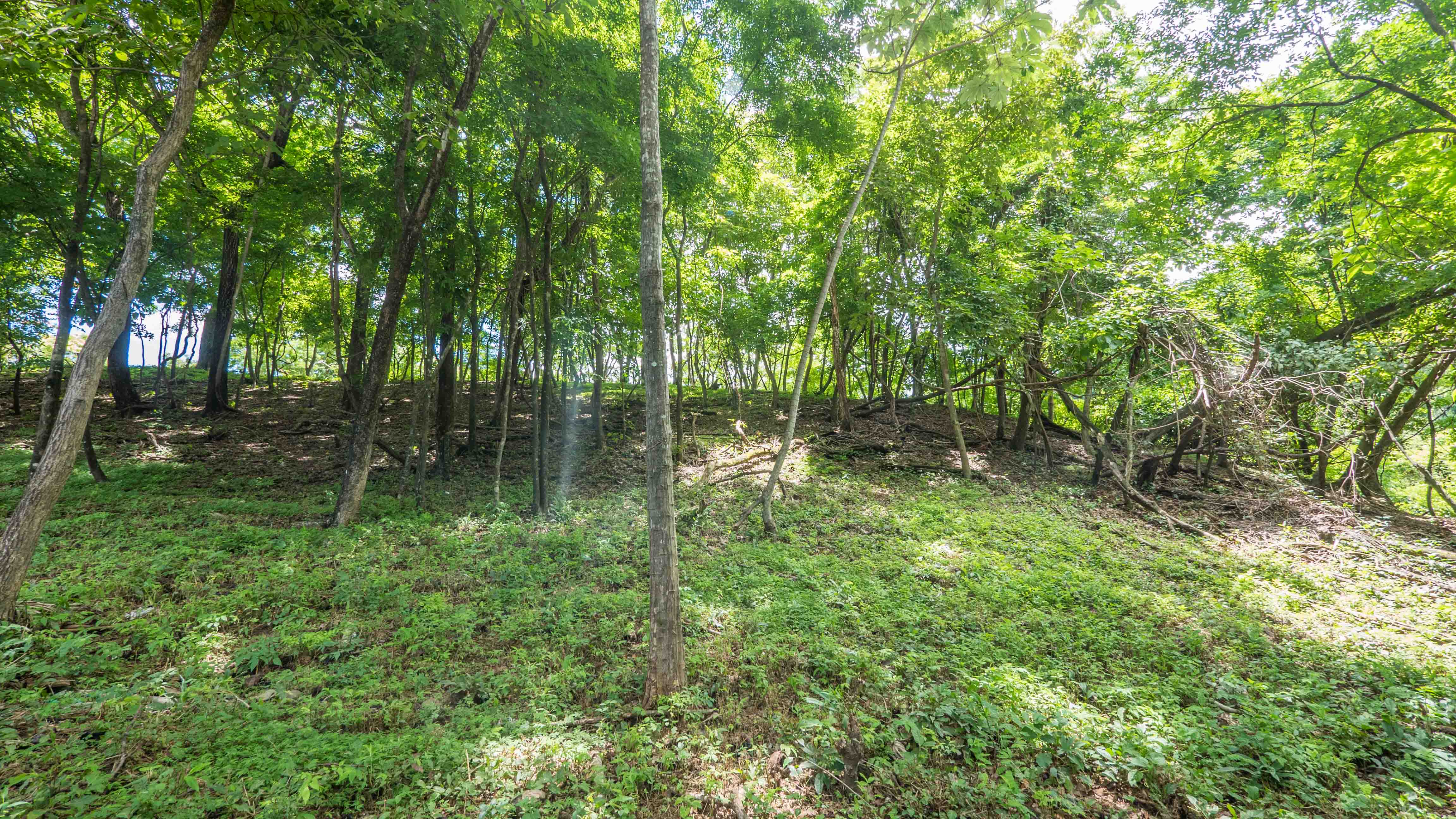 0 bed Land For Sale in Playa Guiones, Guanacaste - thumb 14