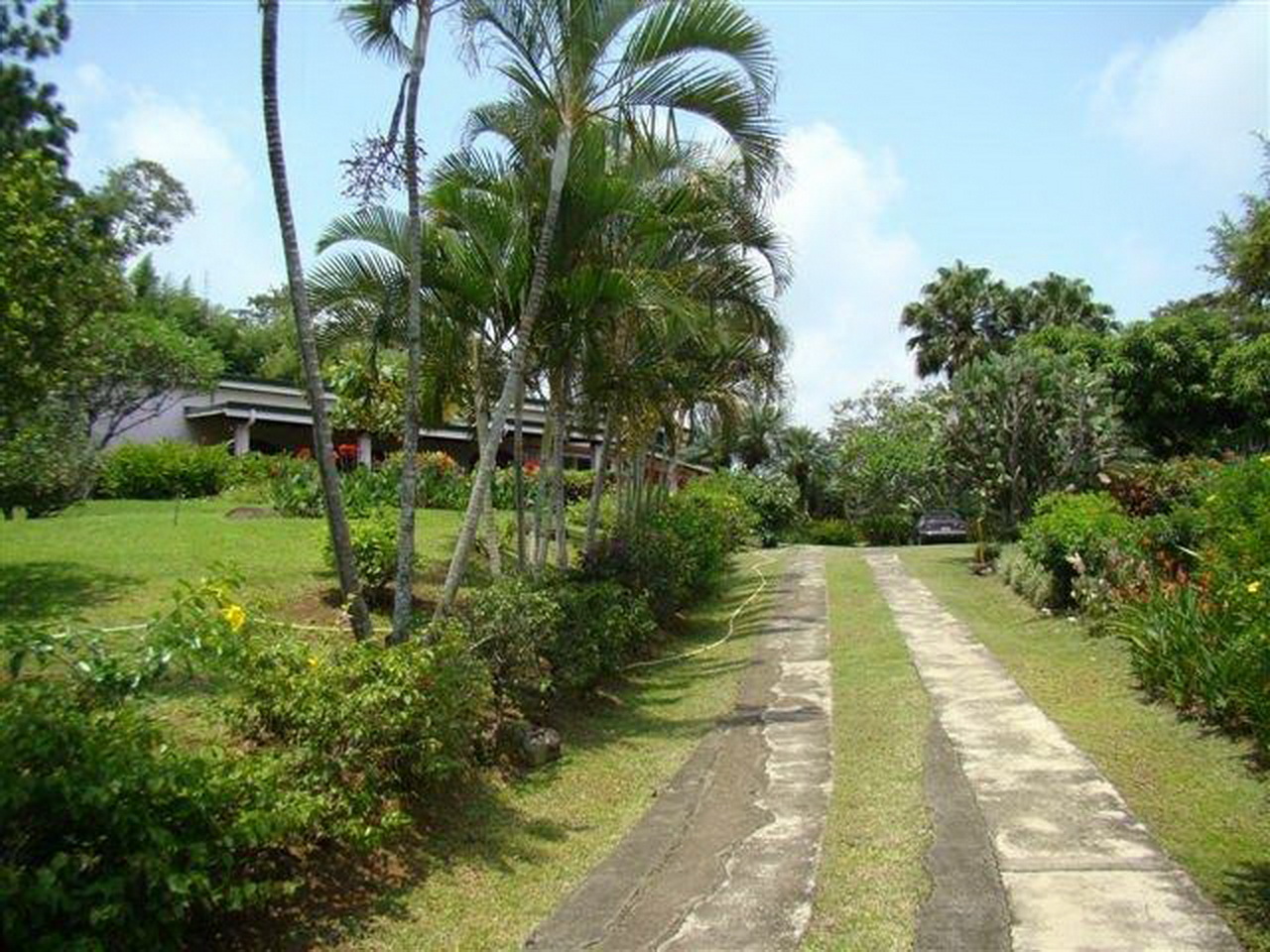 9 bed Single Family Homes For Sale in Grecia, Alajuela - thumb 27