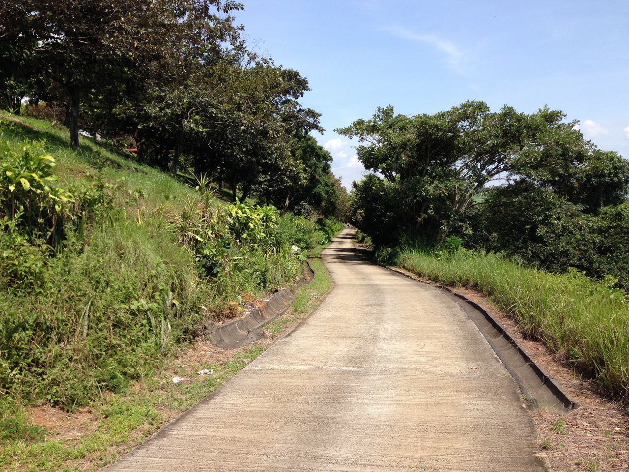9 bed Single Family Homes For Sale in Grecia, Alajuela - thumb 19