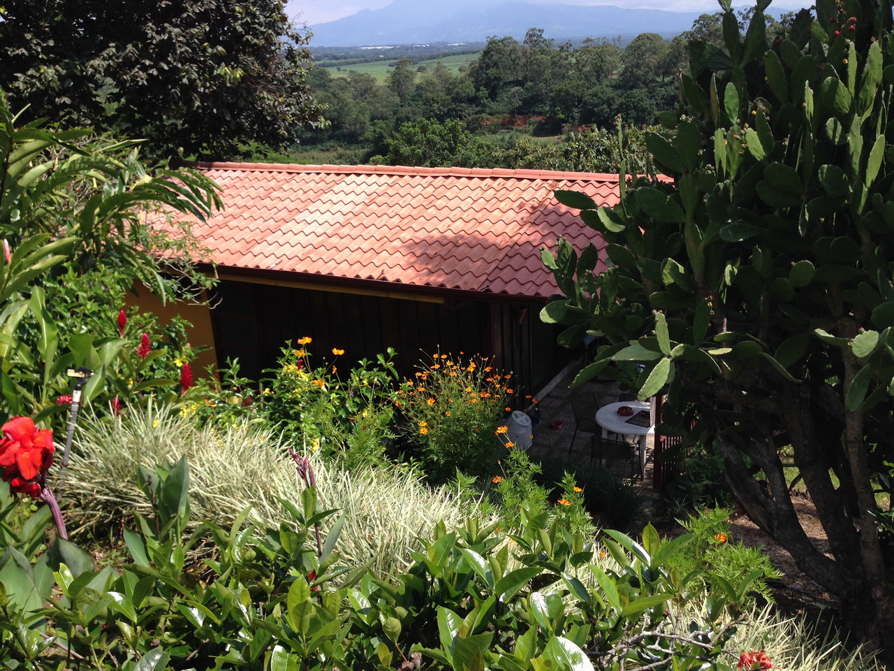 9 bed Single Family Homes For Sale in Grecia, Alajuela - thumb 16