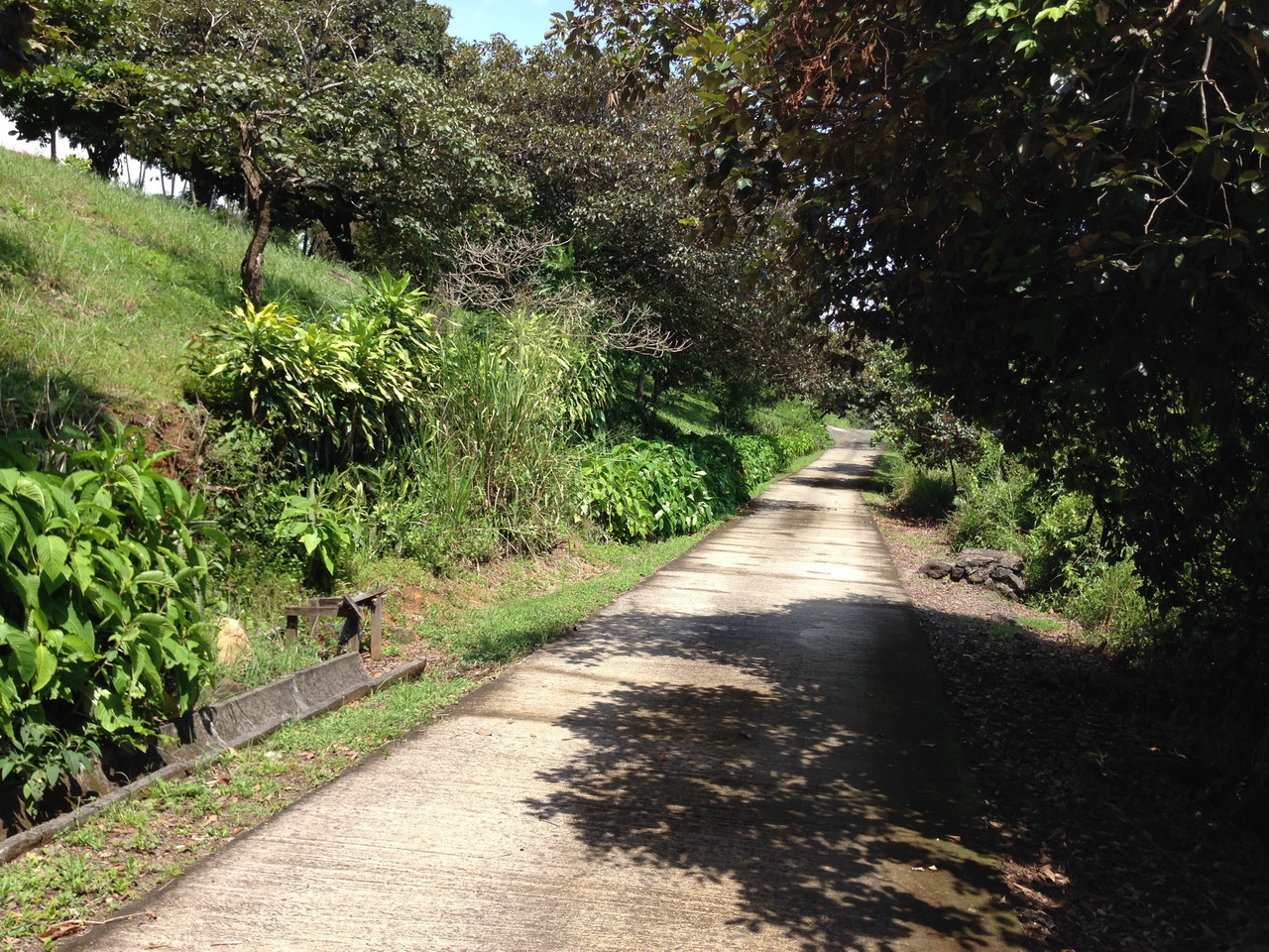 9 bed Single Family Homes For Sale in Grecia, Alajuela - thumb 18