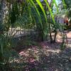  - Lot Opportunity in Small Gated Community Ready for Pueblo Colonial Home