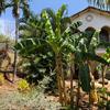  - Elevated Lot in Pueblo Colonial Gated Community for Own Spanish Colonial Home