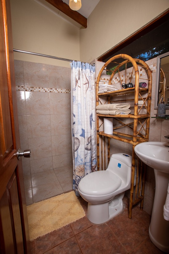 0 bed Hotel / Leisure For Sale in Ojochal, Puntarenas - thumb 29
