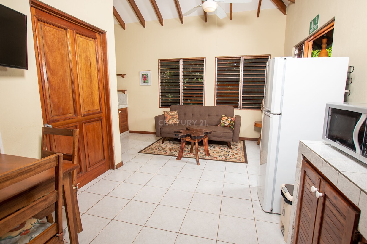 0 bed Hotel / Leisure For Sale in Ojochal, Puntarenas - thumb 22