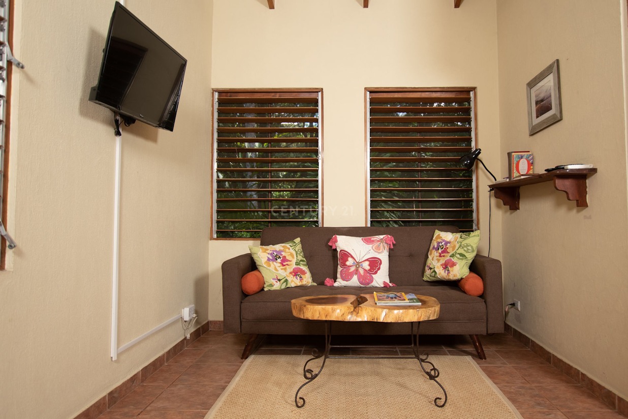 0 bed Hotel / Leisure For Sale in Ojochal, Puntarenas - thumb 20