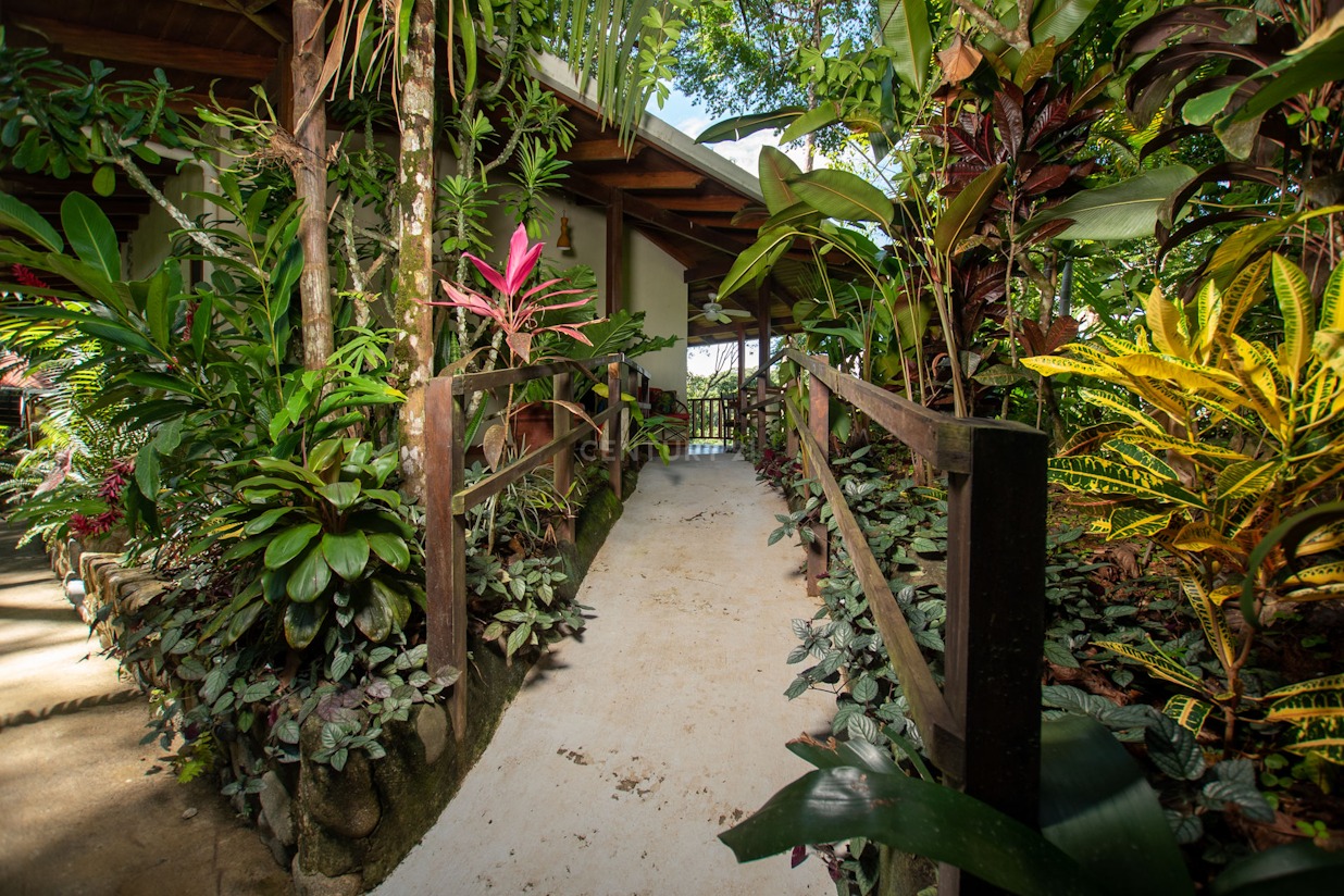 0 bed Hotel / Leisure For Sale in Ojochal, Puntarenas - thumb 18