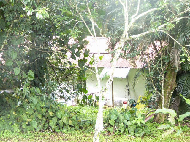 4 bed Land For Sale in La Garita, Alajuela - thumb 21