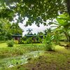  - Eco Lodge cabinas surrounded by tropical nature