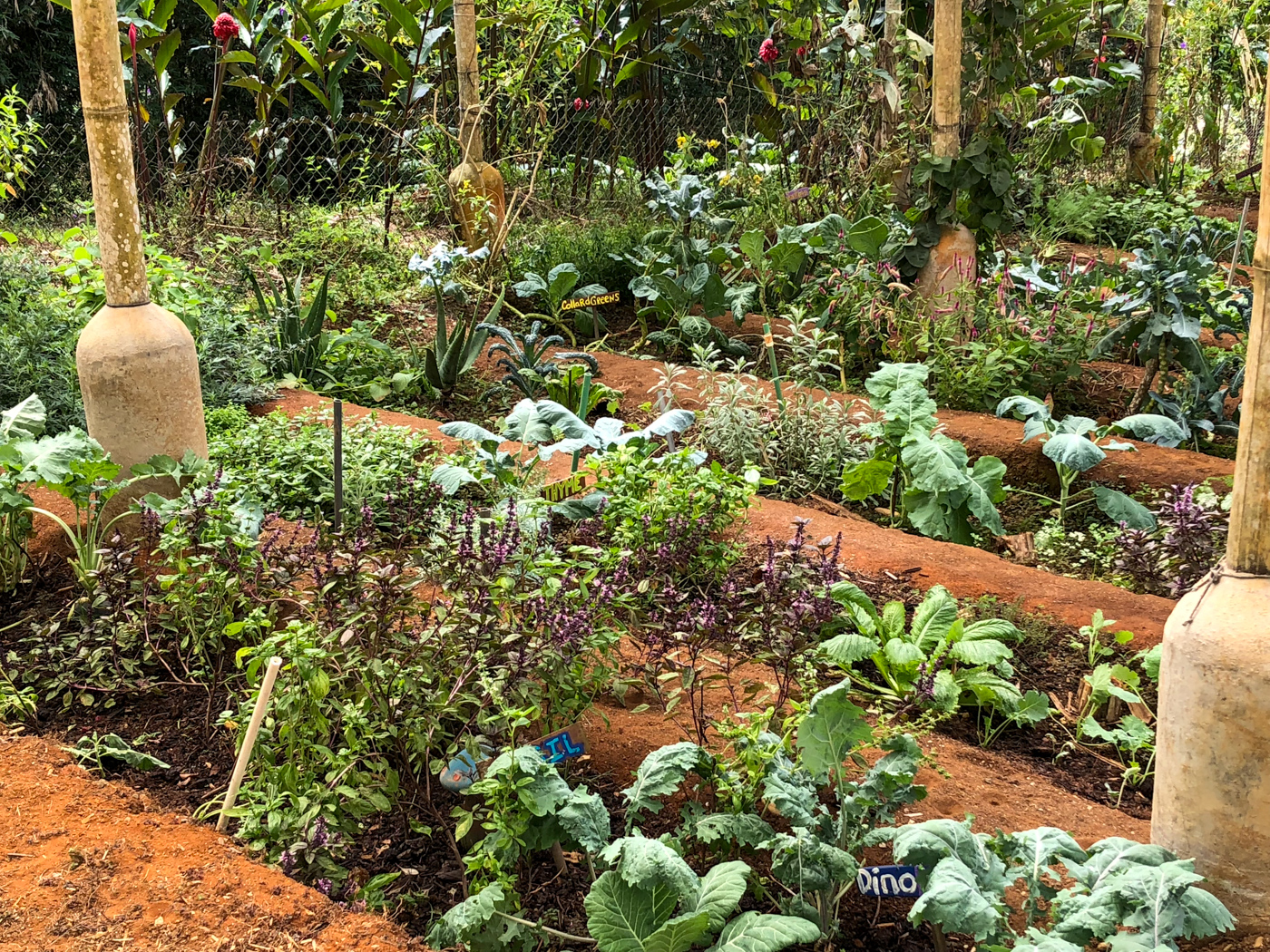 13 bed Hotel / Leisure For Sale in Perez Zeledon, San Jose - thumb 18