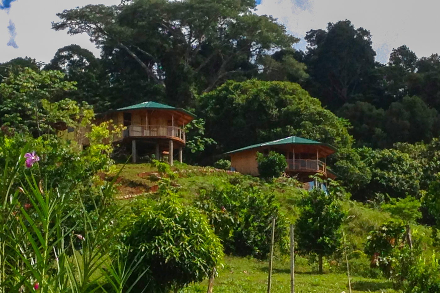 13 bed Hotel / Leisure For Sale in Perez Zeledon, San Jose - thumb 7