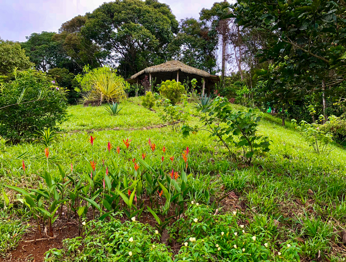 13 bed Hotel / Leisure For Sale in Perez Zeledon, San Jose - thumb 25