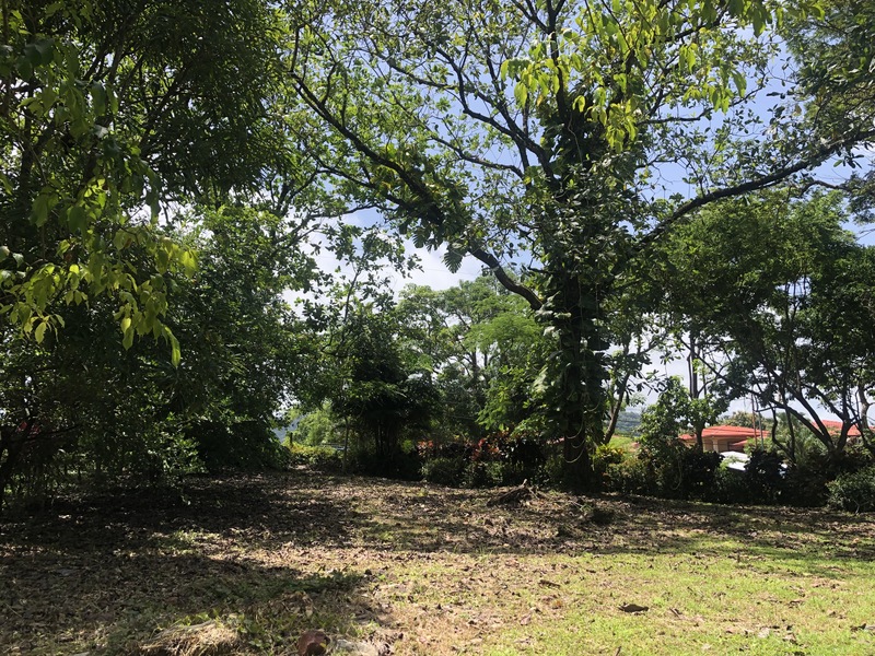 0 bed Land For Sale in Samara, Guanacaste - 1