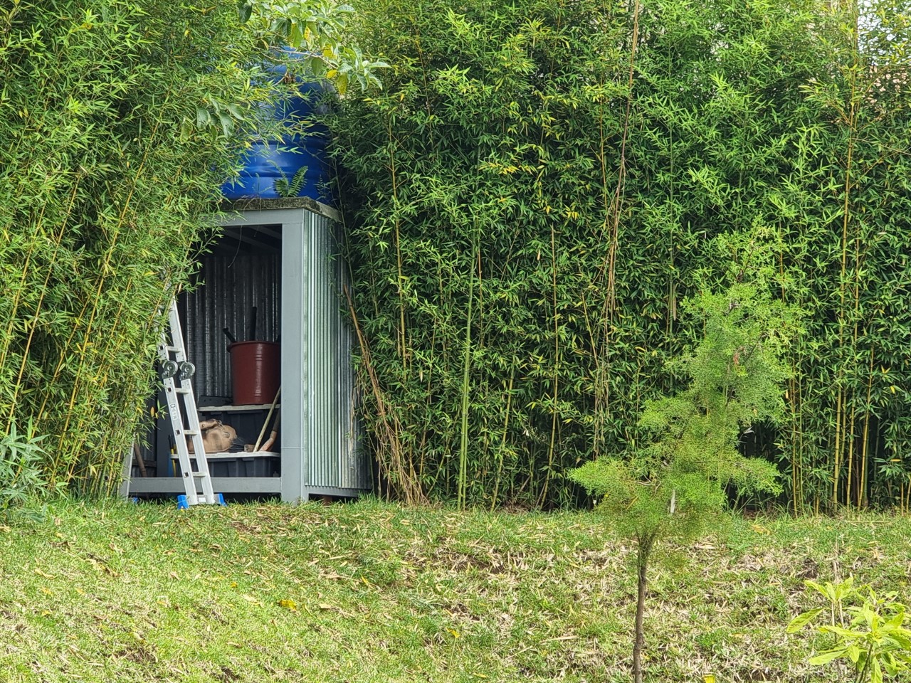 3 bed Single Family Homes For Sale in Curridabat, San Jose - thumb 29