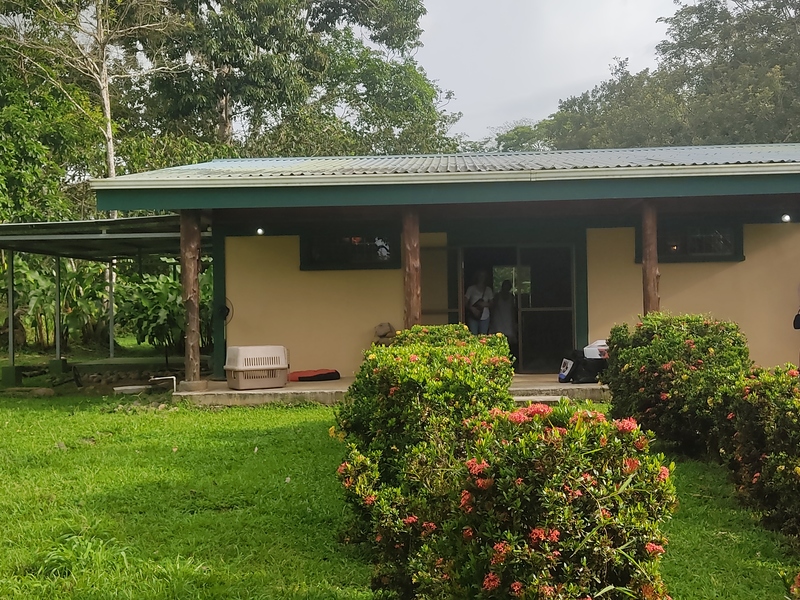 2 Bed Single Family Homes For Sale in La Fortuna Costa Rica