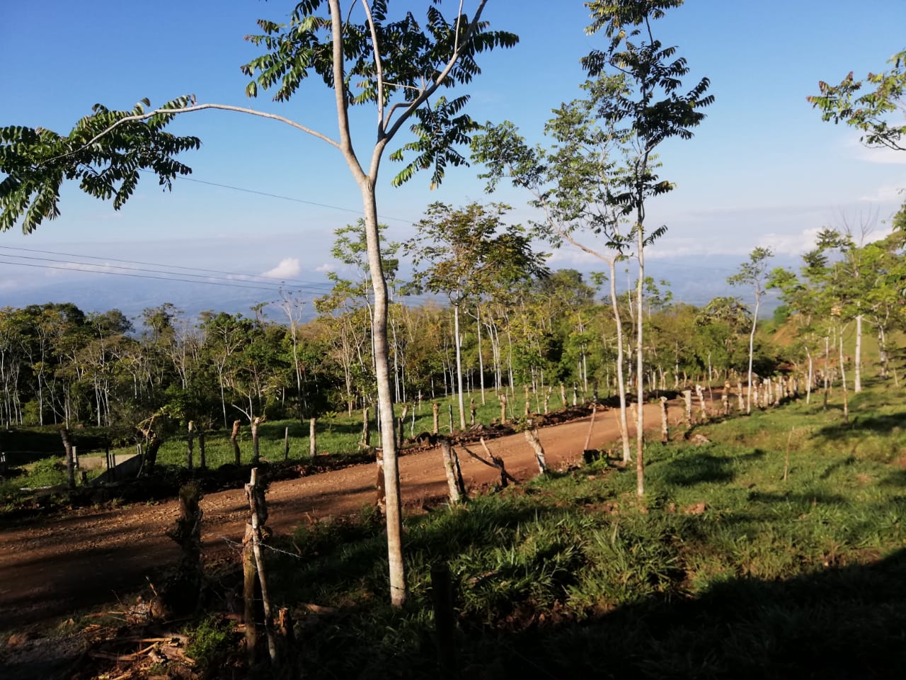 0 bed Land For Sale in Perez Zeledon, Puntarenas - thumb 4
