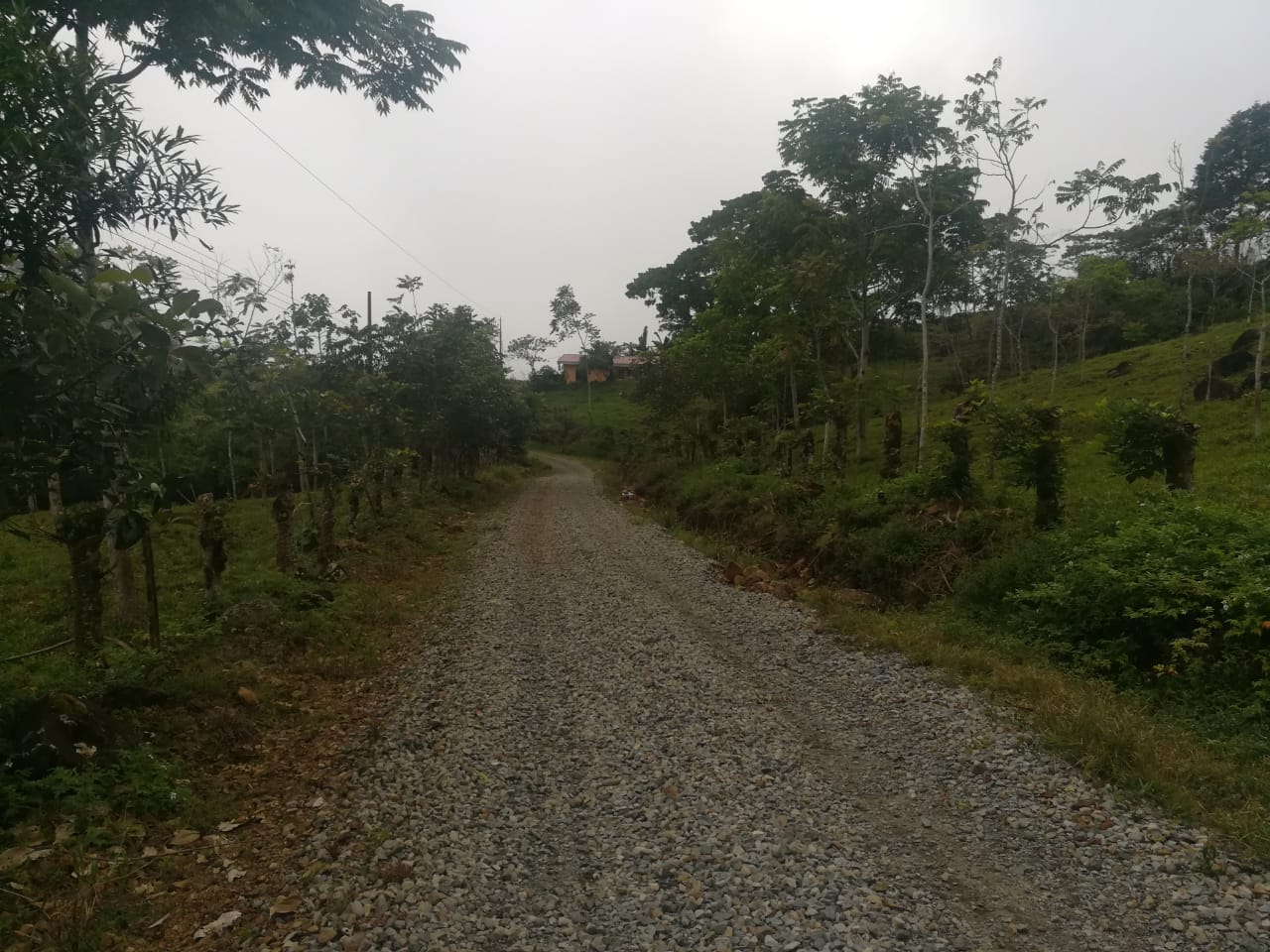 0 bed Land For Sale in Perez Zeledon, Puntarenas - thumb 13