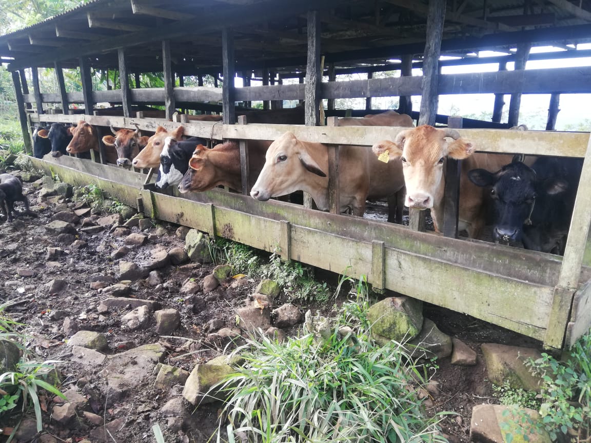 0 bed Land For Sale in Perez Zeledon, Puntarenas - thumb 15