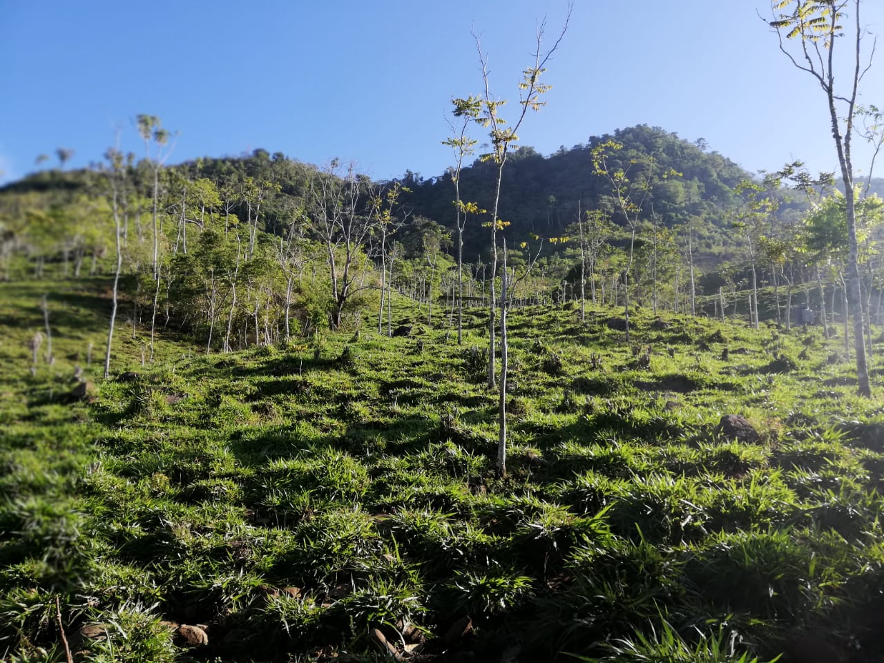 0 bed Land For Sale in Perez Zeledon, Puntarenas - thumb 11