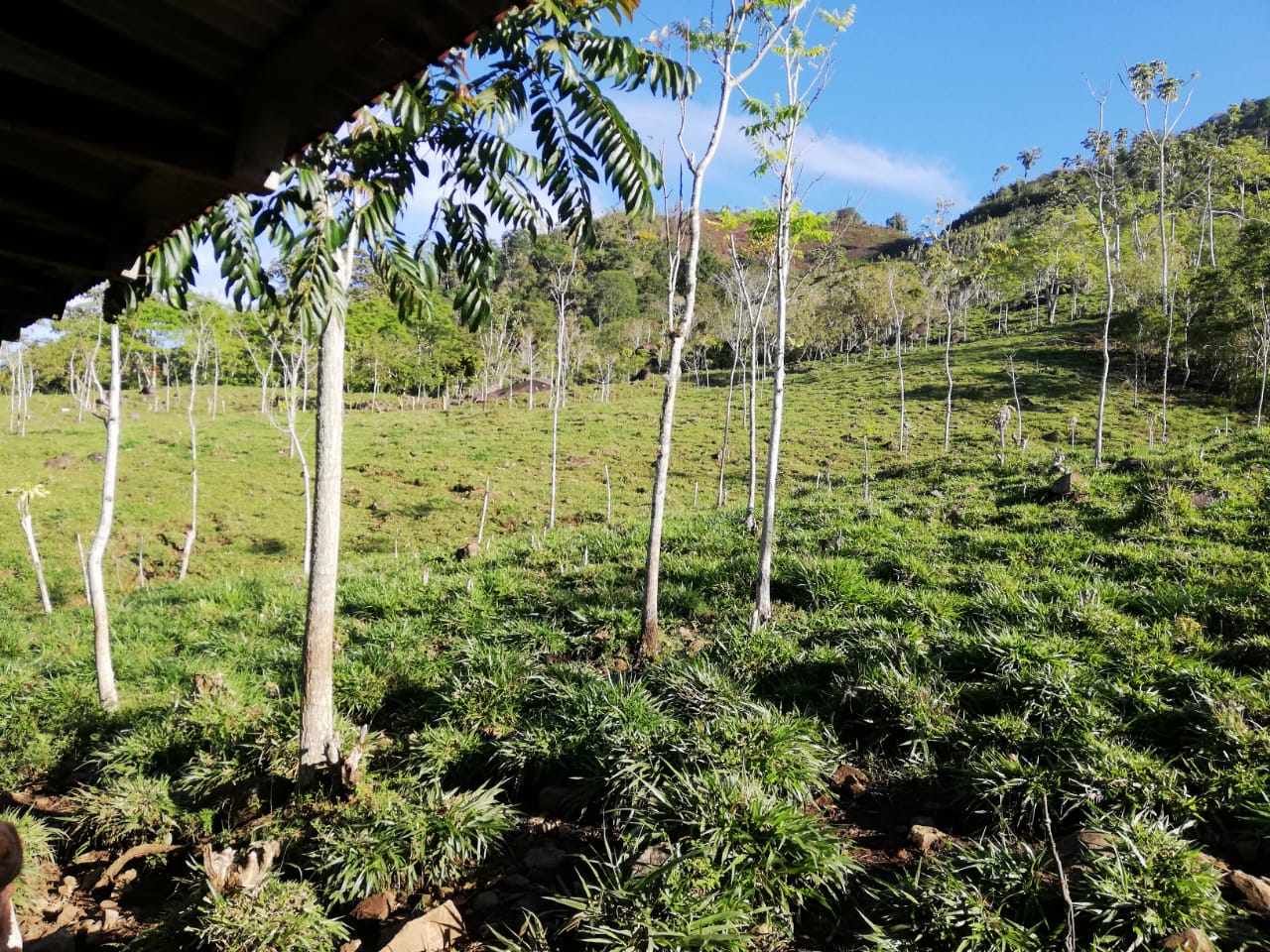 0 bed Land For Sale in Perez Zeledon, Puntarenas - thumb 5