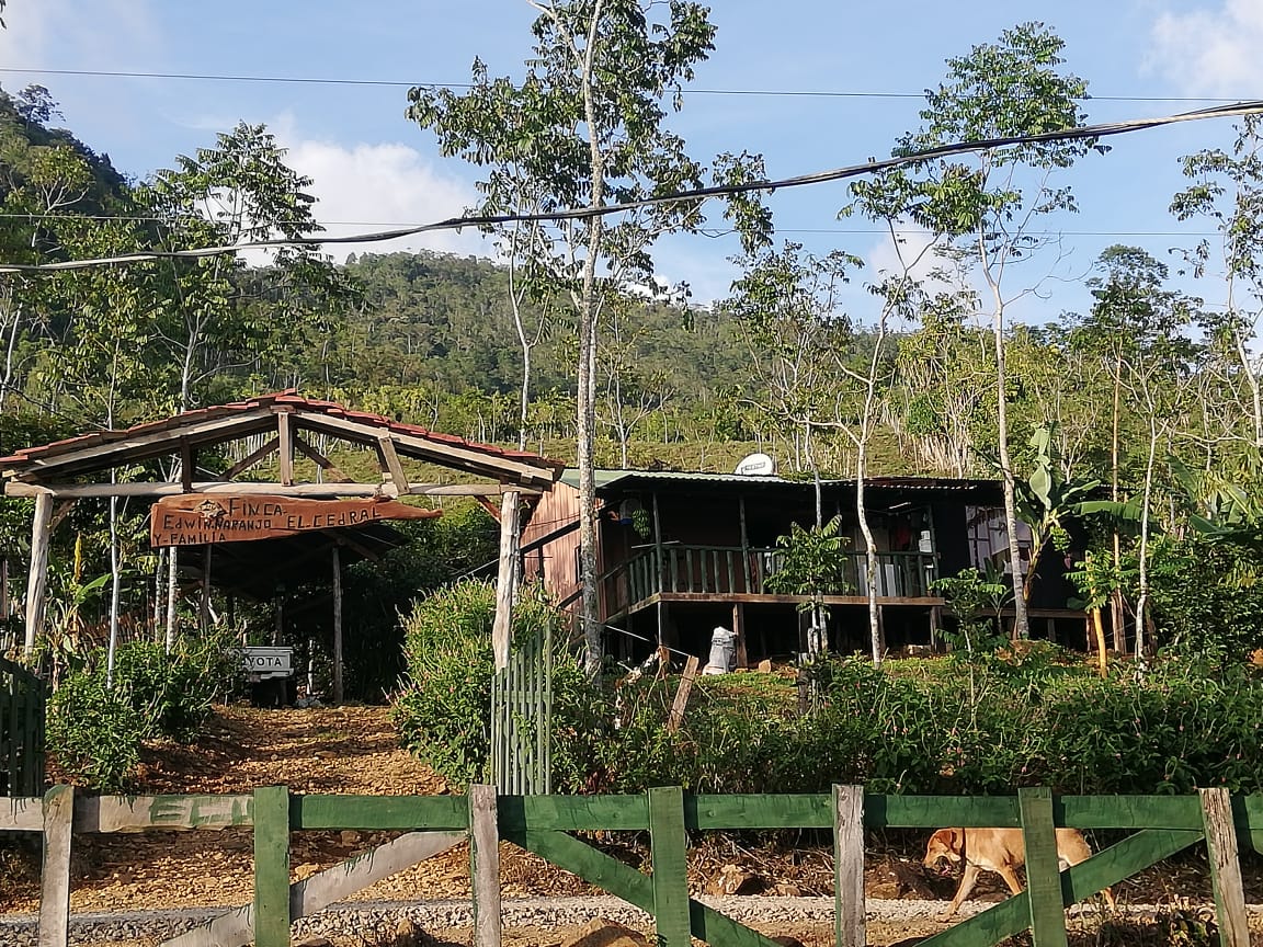 0 bed Land For Sale in Perez Zeledon, Puntarenas - thumb 12