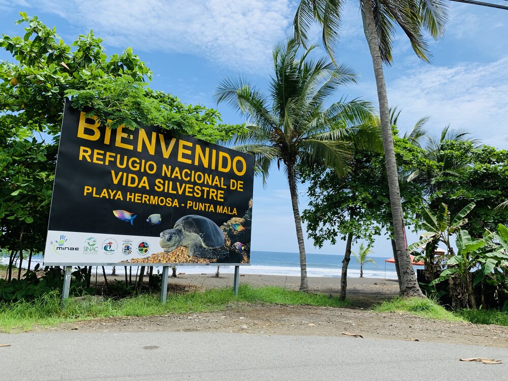 0 bed Land For Sale in Playa Hermosa, Puntarenas - thumb 7