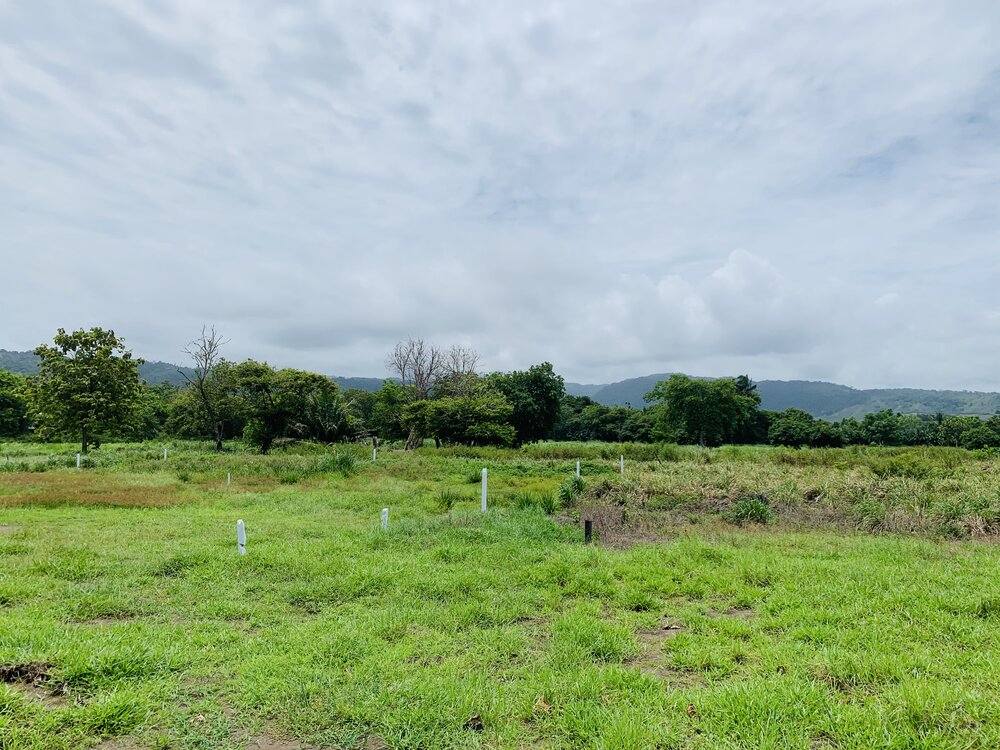 0 bed Land For Sale in Playa Hermosa, Puntarenas - thumb 4