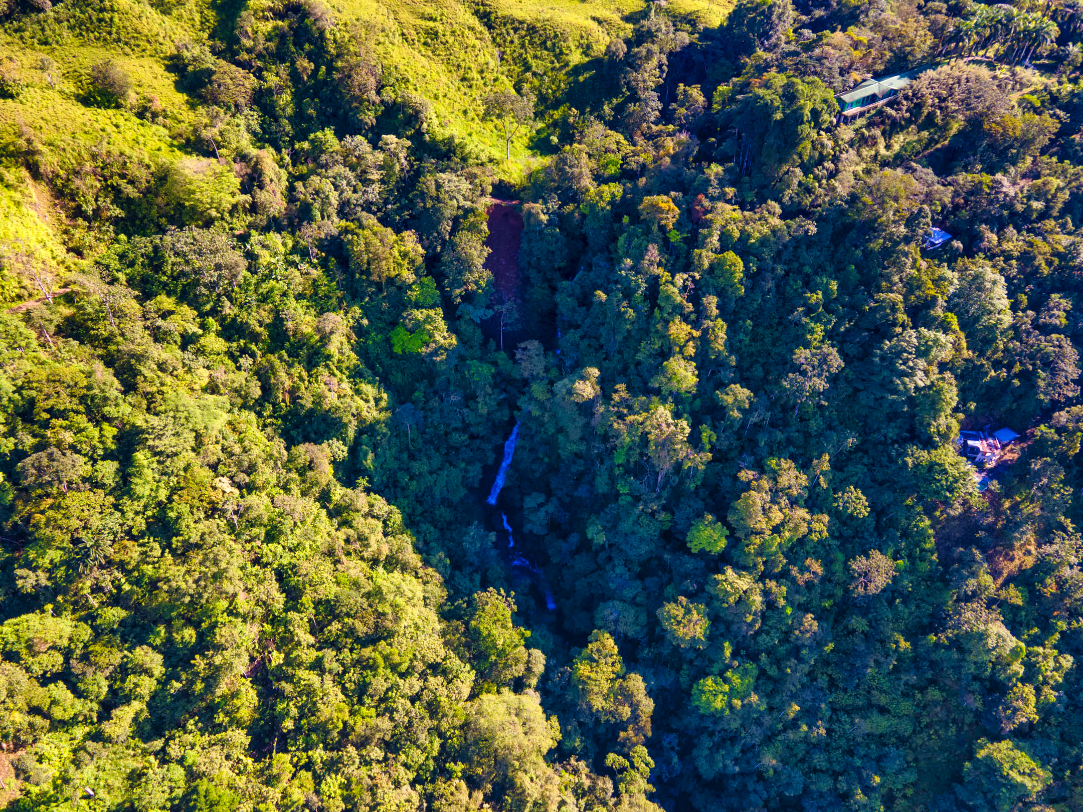 0 bed Land For Sale in Dominical, Puntarenas - thumb 19