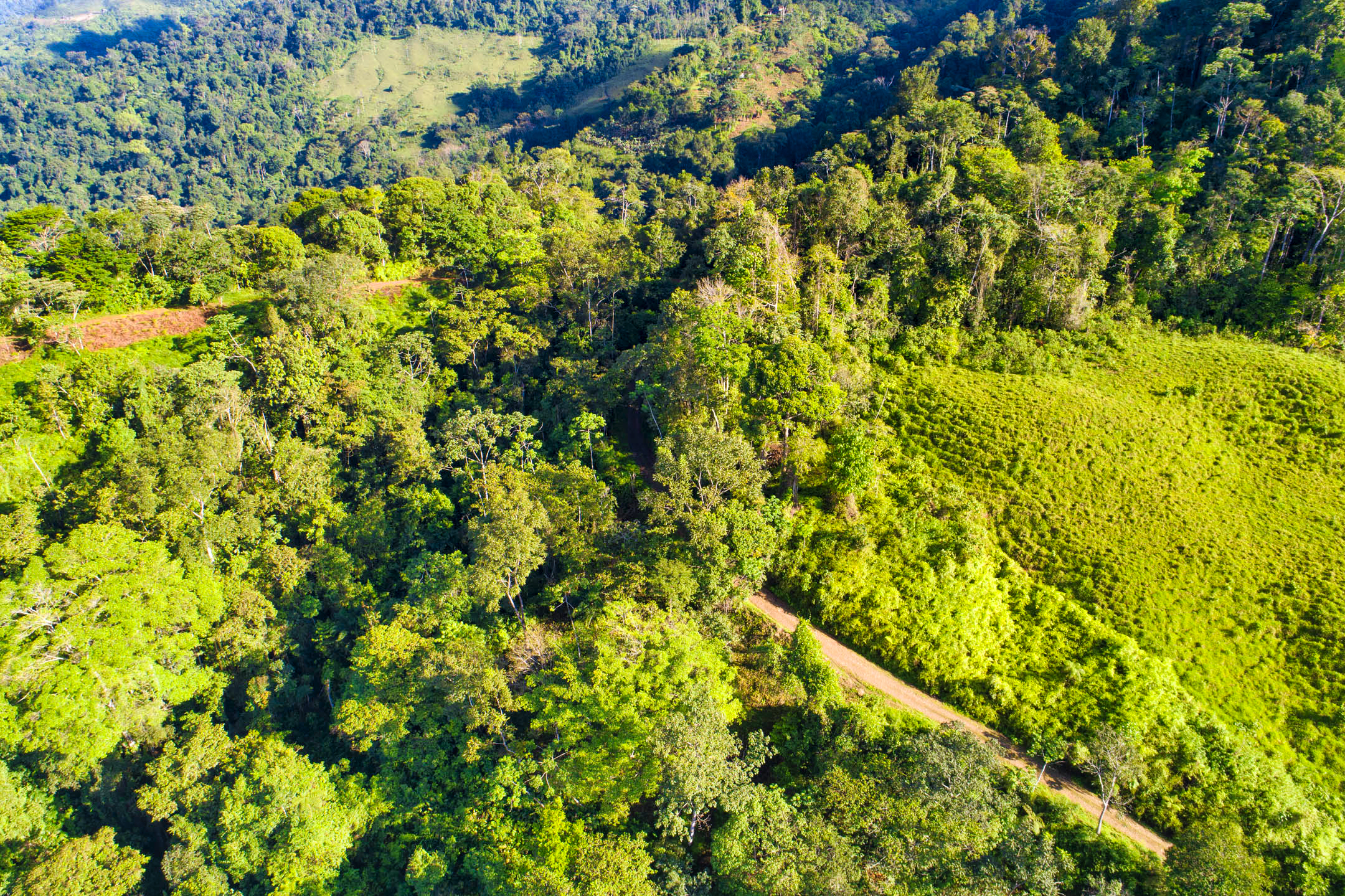 0 bed Land For Sale in Dominical, Puntarenas - thumb 17