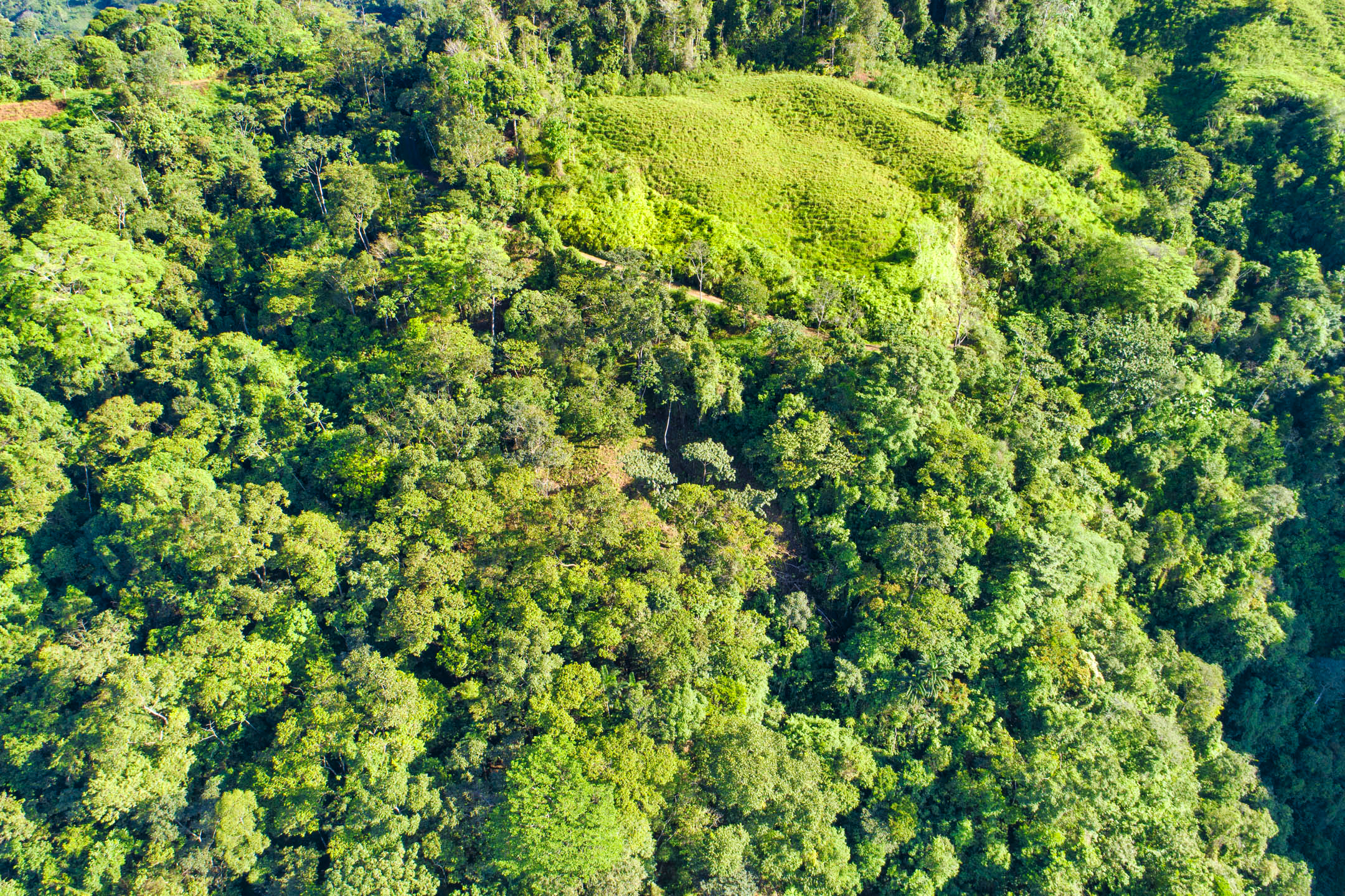 0 bed Land For Sale in Dominical, Puntarenas - thumb 18
