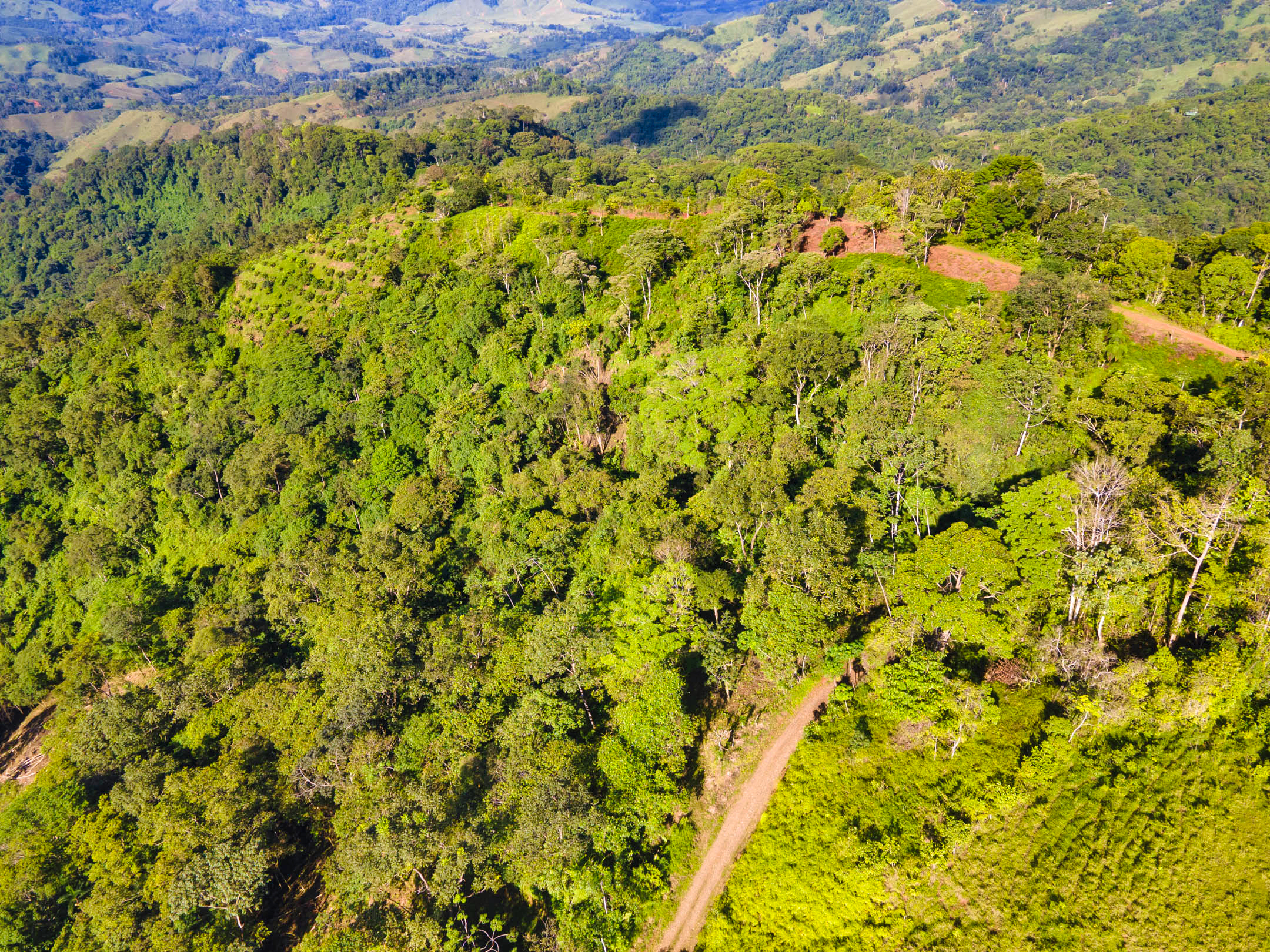 0 bed Land For Sale in Dominical, Puntarenas - thumb 22