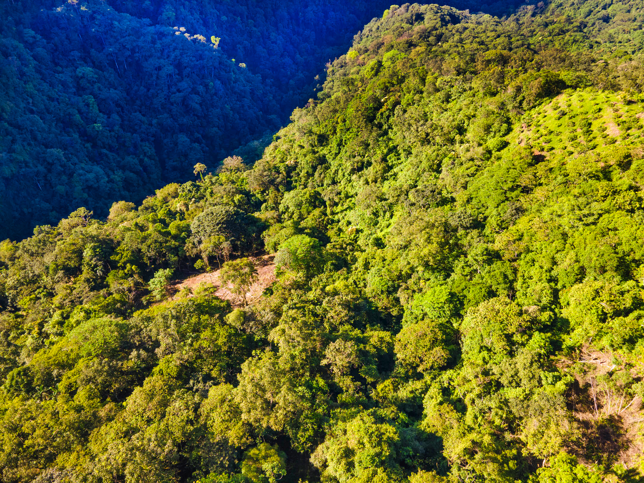 0 bed Land For Sale in Dominical, Puntarenas - thumb 23