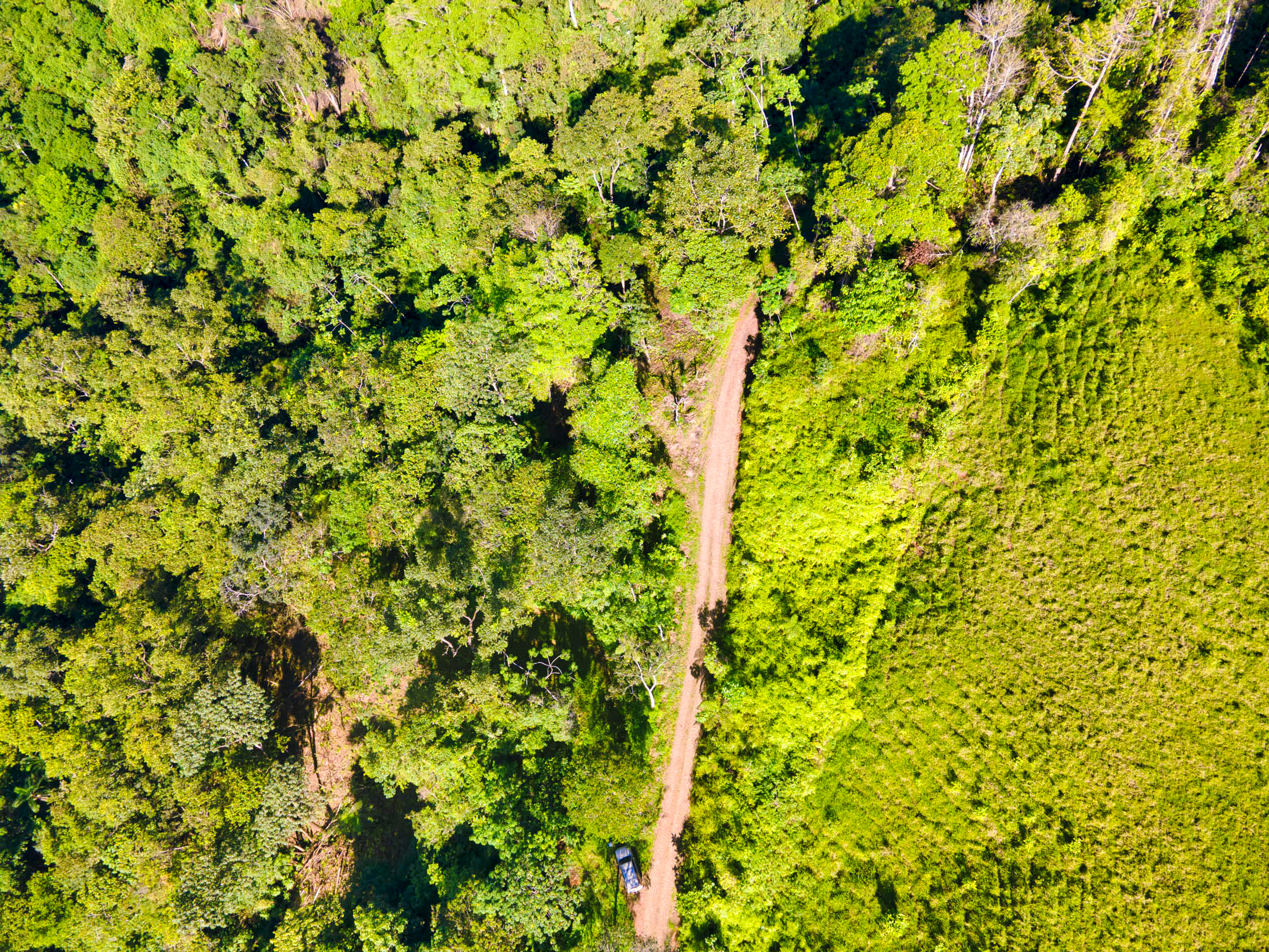 0 bed Land For Sale in Dominical, Puntarenas - thumb 20