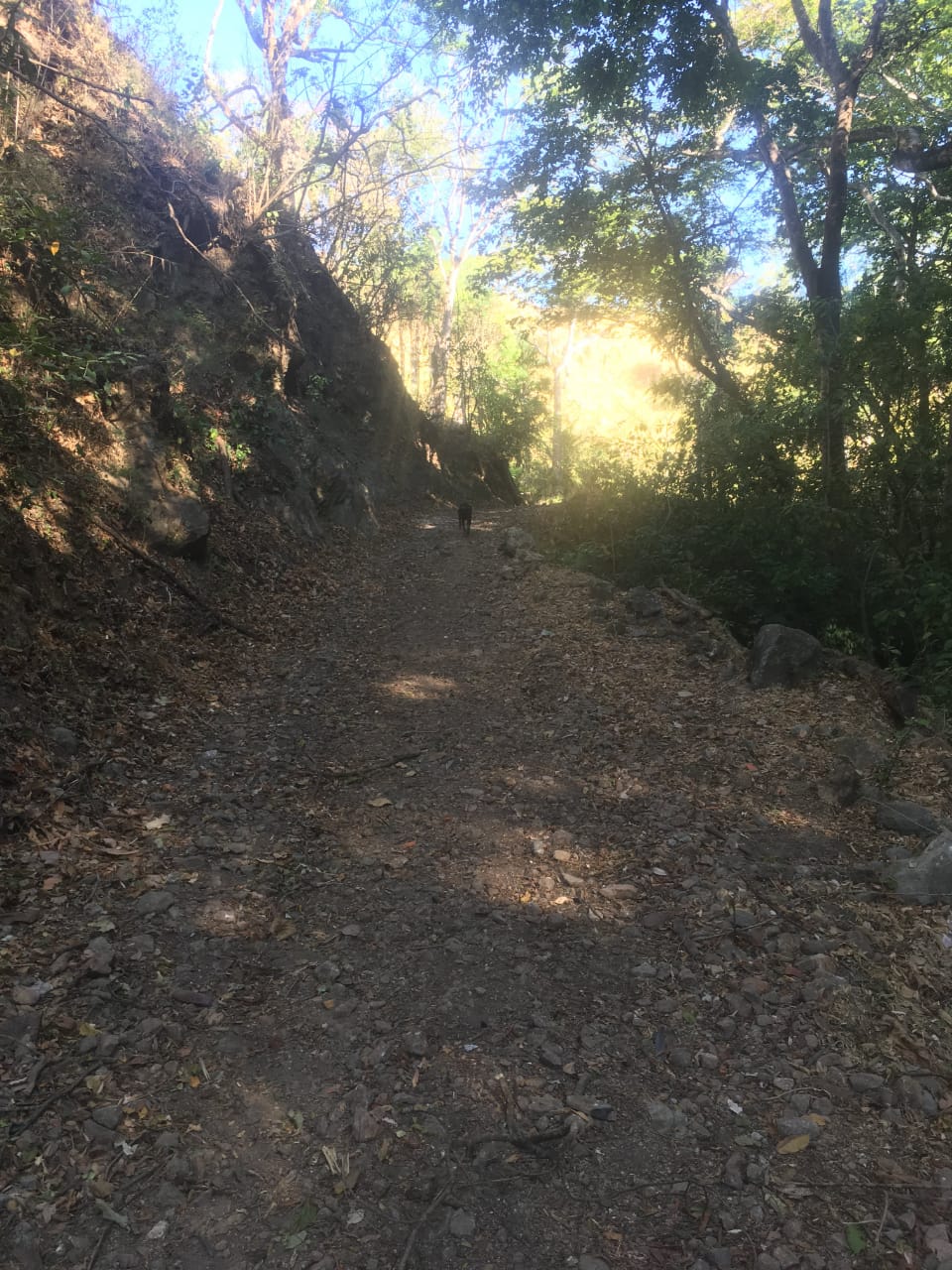 0 bed Land For Sale in Atenas, Alajuela - thumb 17
