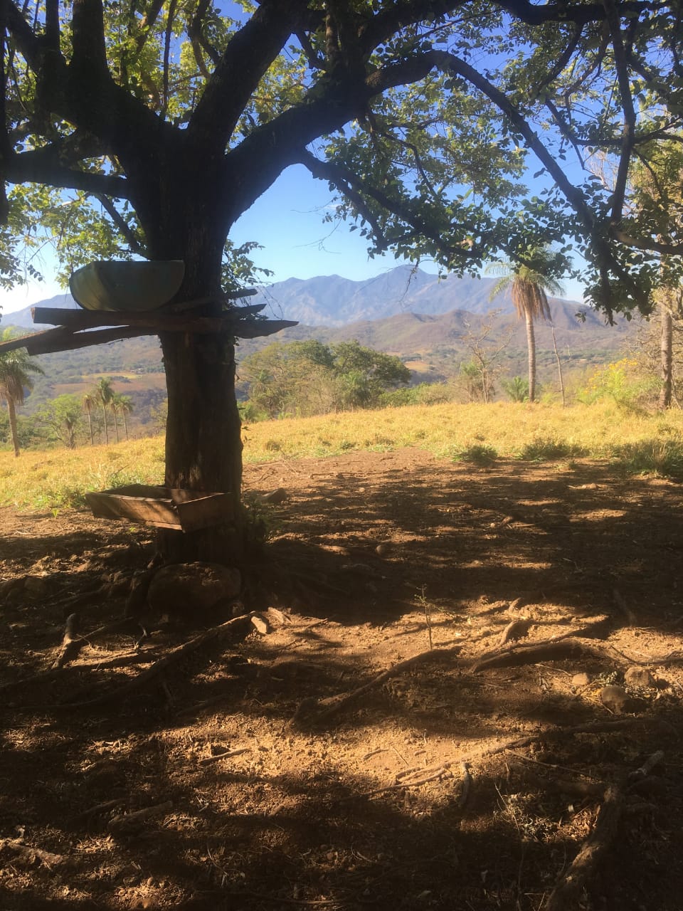 0 bed Land For Sale in Atenas, Alajuela - thumb 21