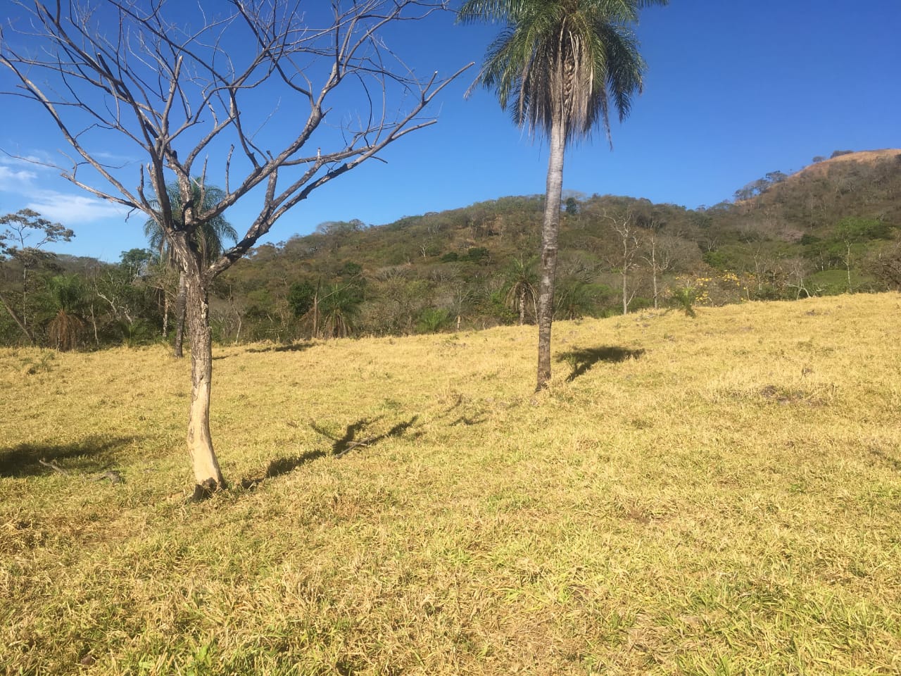0 bed Land For Sale in Atenas, Alajuela - thumb 24